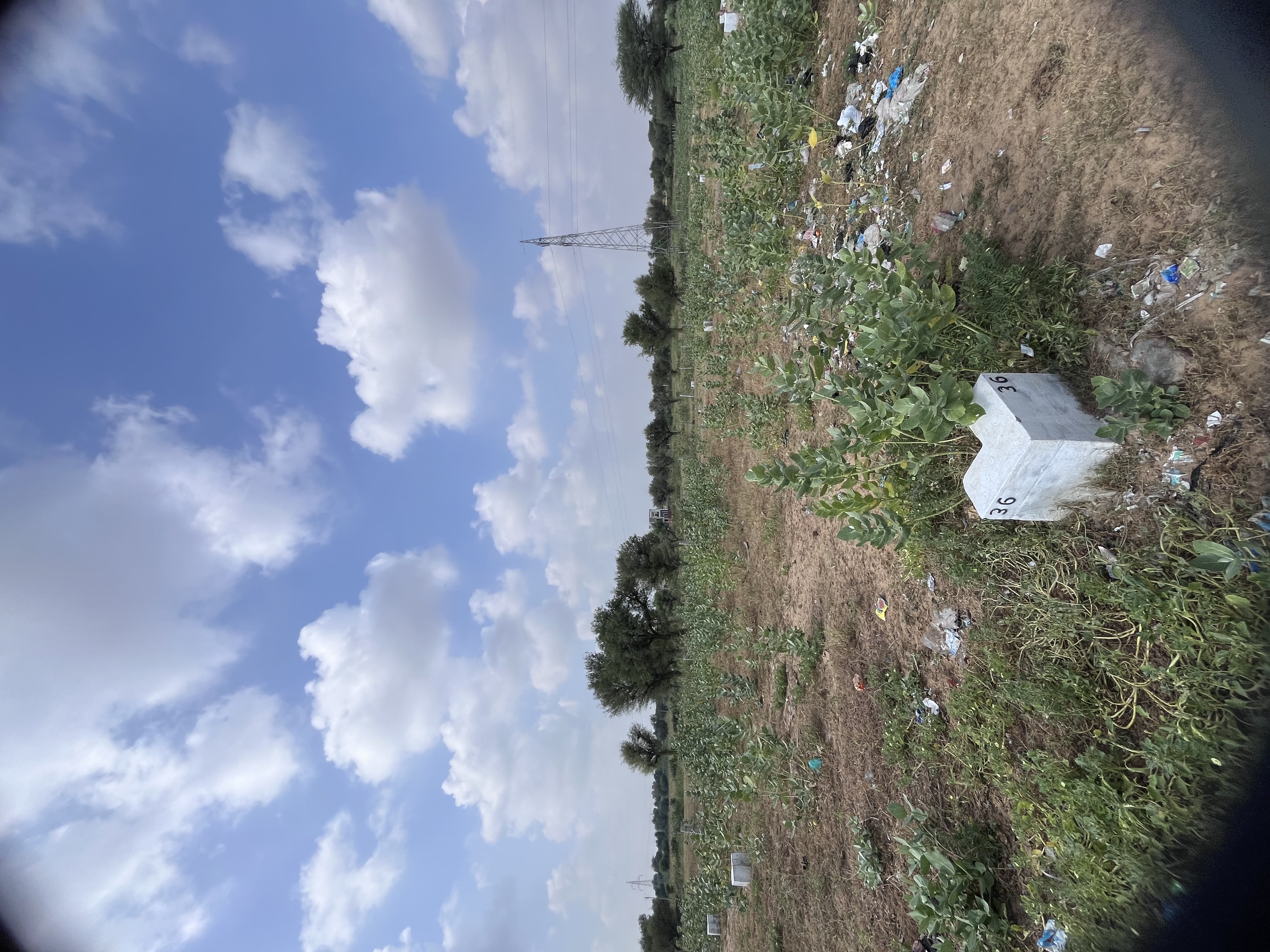 Safiya Colony, Mandrella - photo 3
