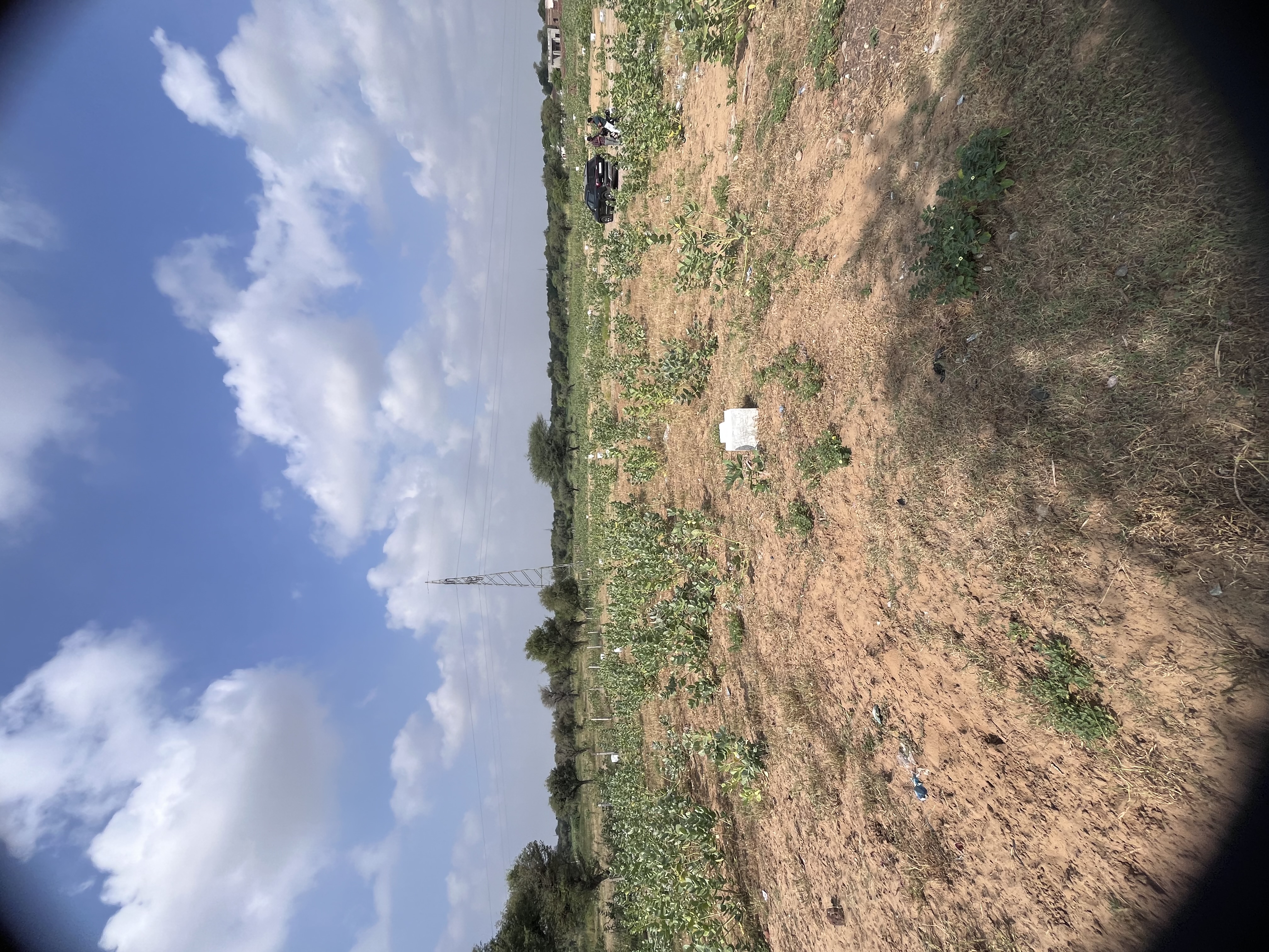 Safiya Colony, Mandrella - photo 5