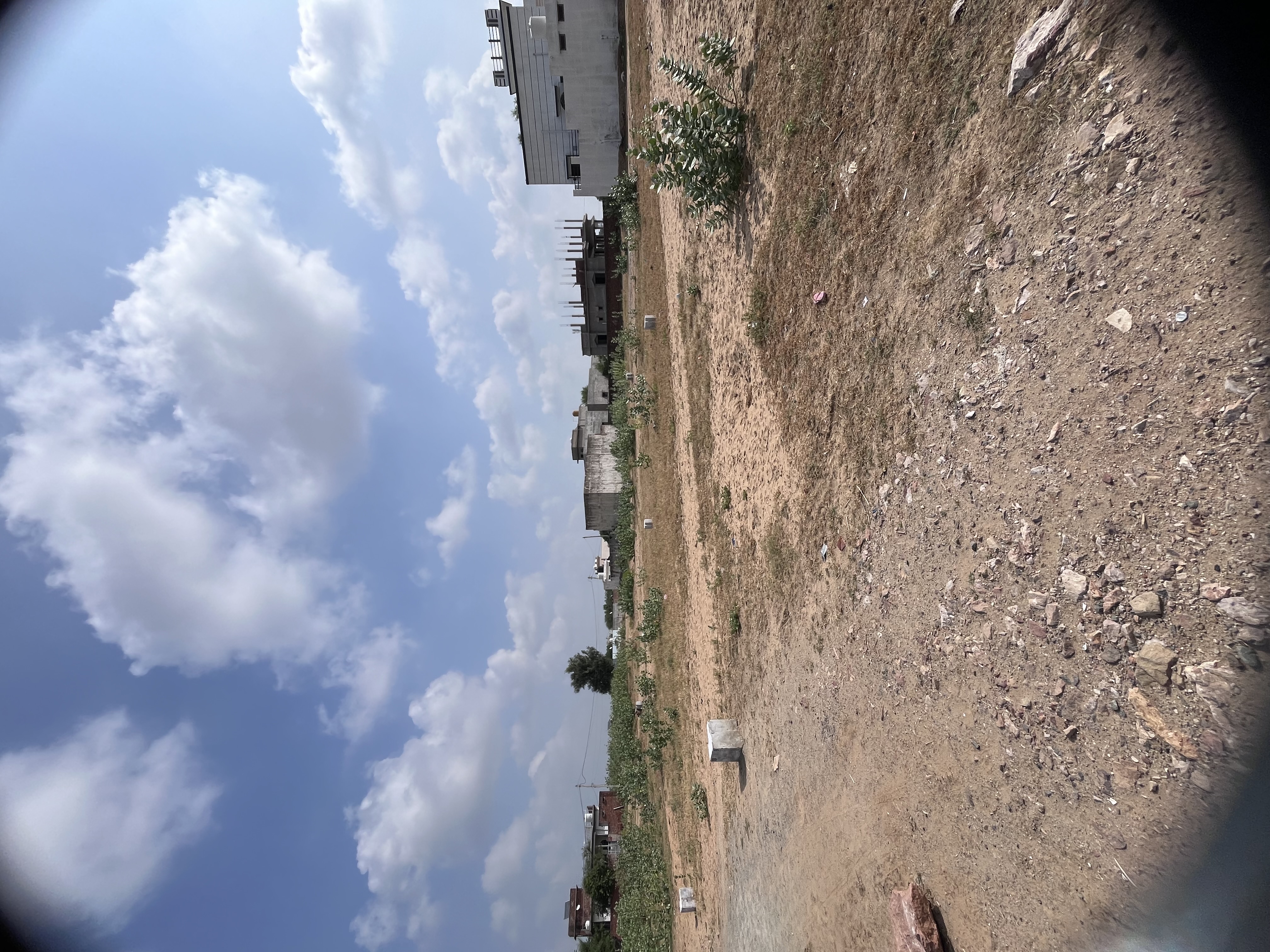 Safiya Colony, Mandrella - photo 7