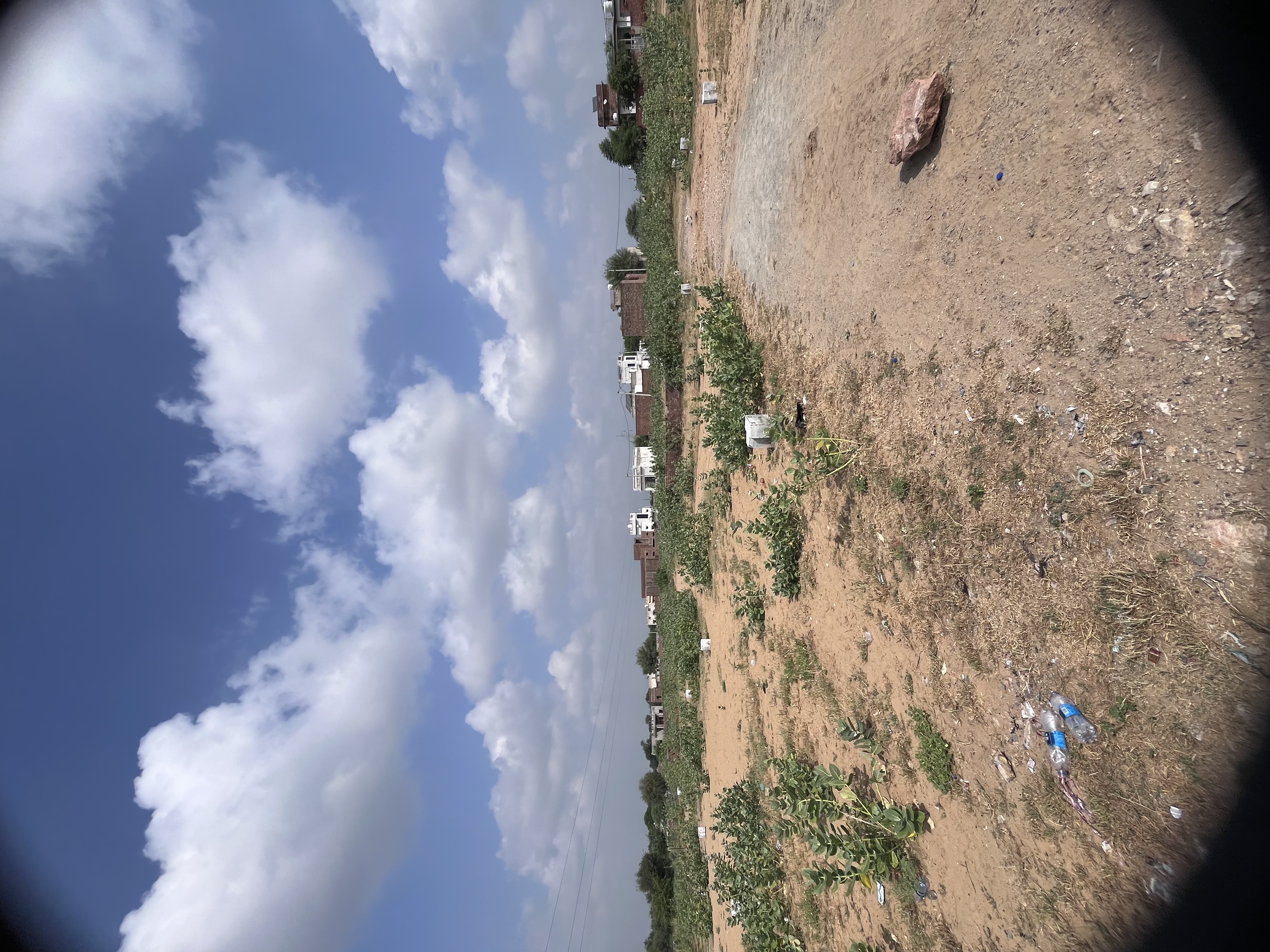 Safiya Colony, Mandrella - photo 8