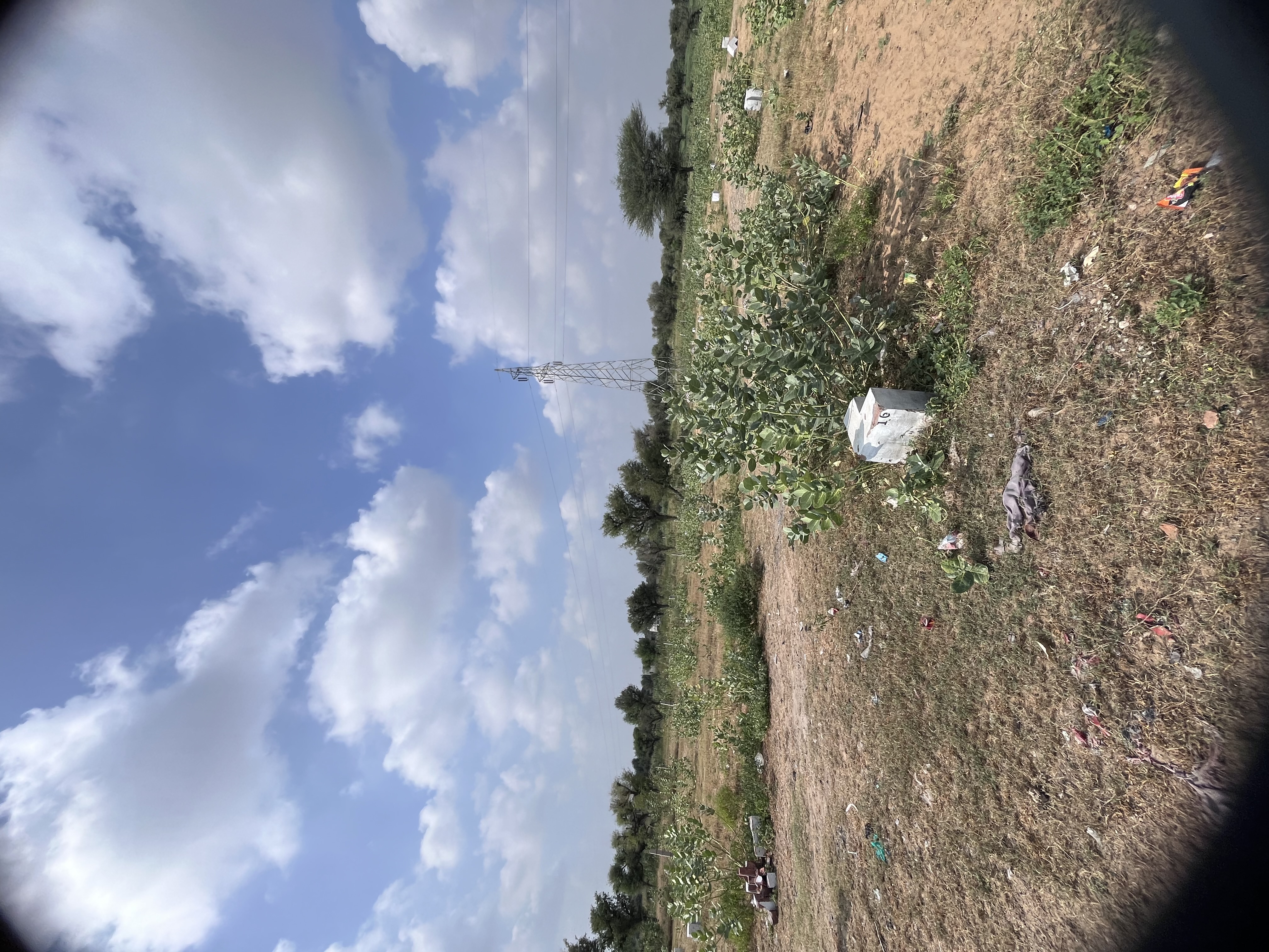 Safiya Colony, Mandrella - photo 9